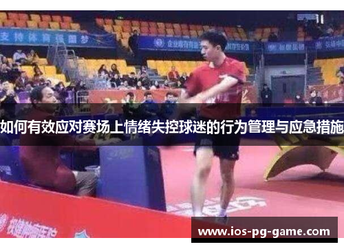 如何有效应对赛场上情绪失控球迷的行为管理与应急措施