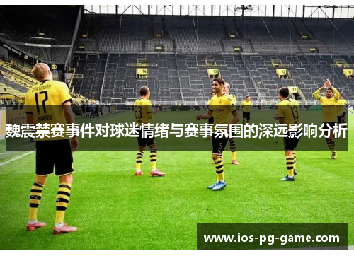 魏震禁赛事件对球迷情绪与赛事氛围的深远影响分析
