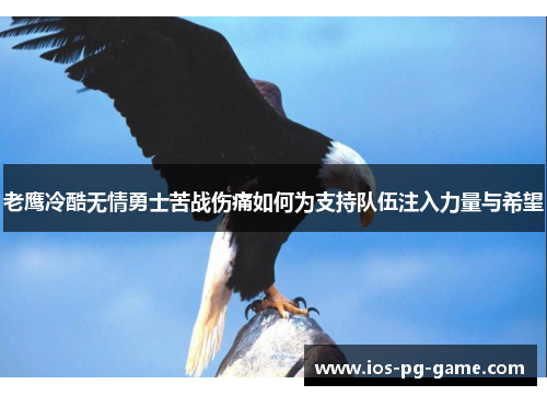 老鹰冷酷无情勇士苦战伤痛如何为支持队伍注入力量与希望 老鹰冷酷无情勇士苦战伤痛如何为支持队伍注入力量与希望